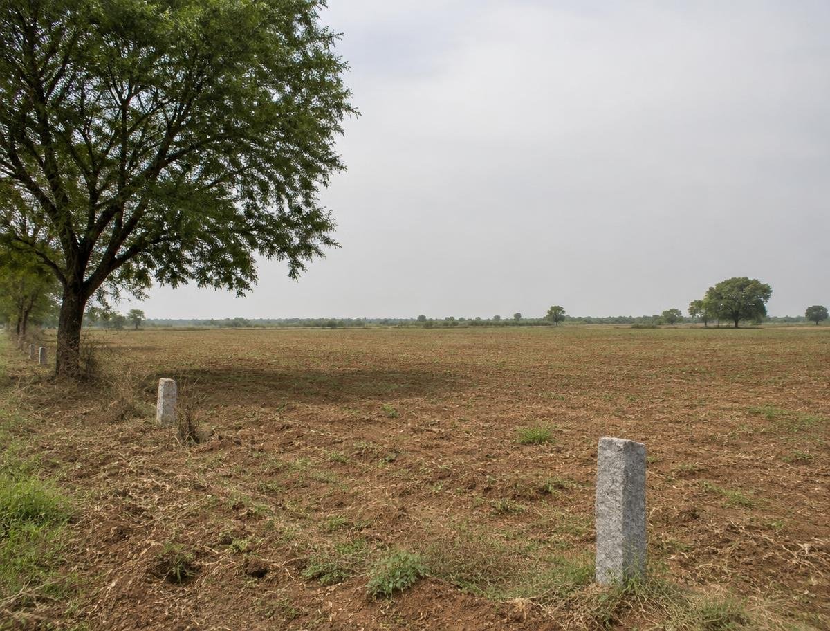 Open agricultural land with boundary stones in north Karnataka